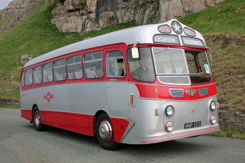 Картинка автомобили автобусы пассажирский транспорт