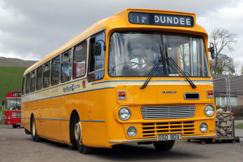 Картинка автомобили автобусы пассажирский транспорт