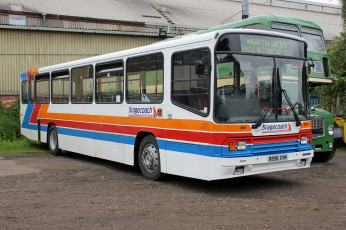 Картинка автомобили автобусы транспорт пассажирский