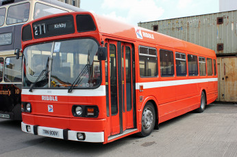 Картинка автомобили автобусы транспорт пассажирский