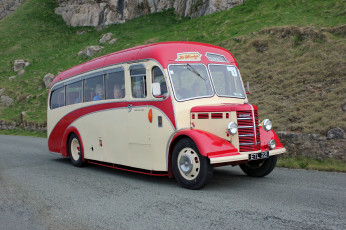 Картинка автомобили автобусы транспорт пассажирский