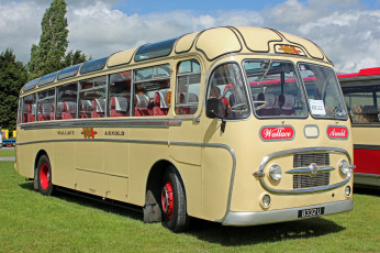 Картинка автомобили автобусы транспорт пассажирский