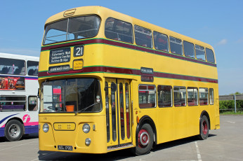 Картинка автомобили автобусы транспорт пассажирский