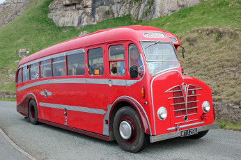 Картинка автомобили автобусы транспорт пассажирский