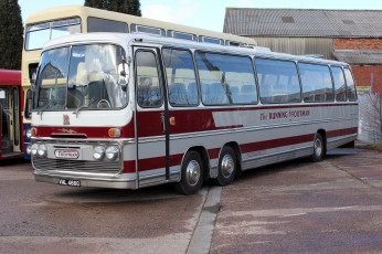 Картинка автомобили автобусы транспорт пассажирский