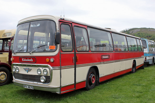 Обои картинки фото автомобили, автобусы, пассажирский, транспорт