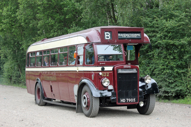 Обои картинки фото автомобили, автобусы, транспорт, пассажирский