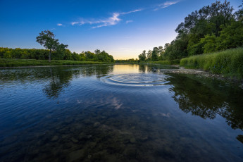 Картинка природа реки озера река лес