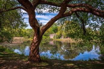 Картинка природа реки озера река лес