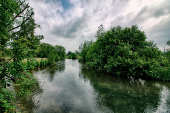 Картинка природа реки озера лес река