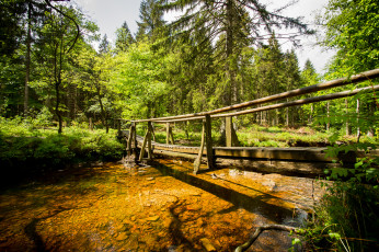 Картинка природа реки озера река лес