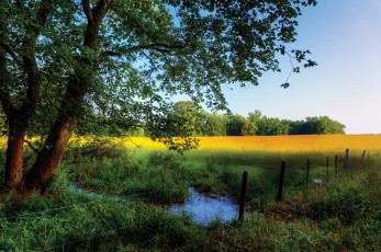 Картинка природа пейзажи опушка лужа