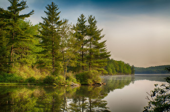 Картинка природа реки озера река лес