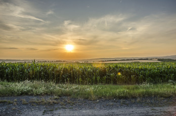 Картинка природа восходы закаты рассвет