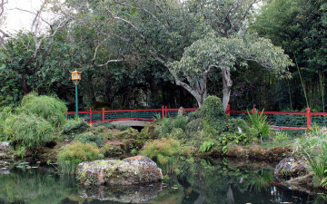 Картинка природа парк водоем мостик