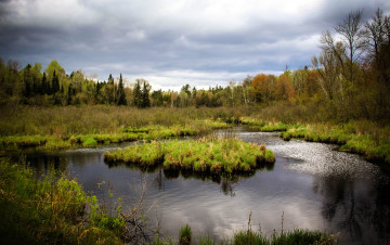 Картинка природа реки озера река лес