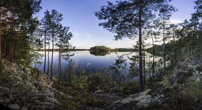 Обои картинки фото природа, реки, озера, лес, река