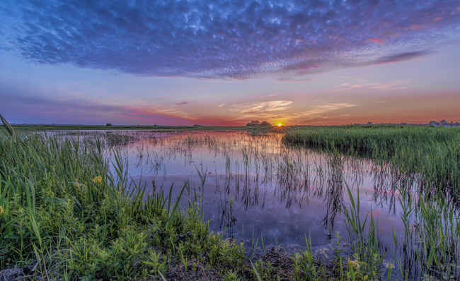 Обои картинки фото природа, реки, озера, лес, река