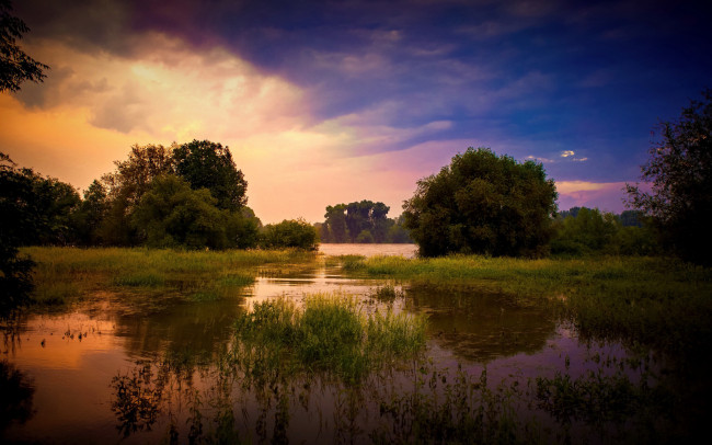 Обои картинки фото природа, реки, озера, река, лес