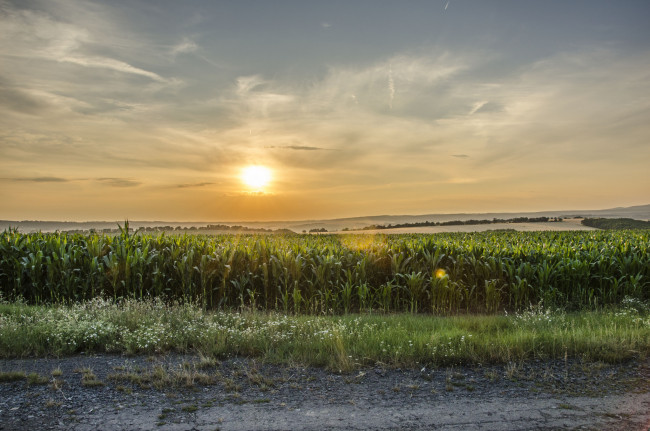 Обои картинки фото природа, восходы, закаты, рассвет