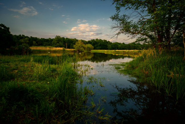 Обои картинки фото природа, реки, озера, лес, река