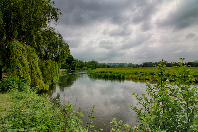 Обои картинки фото природа, реки, озера, река, лес