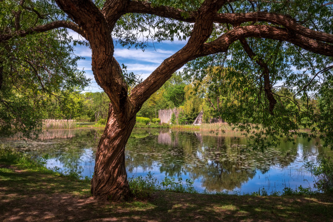 Обои картинки фото природа, реки, озера, река, лес