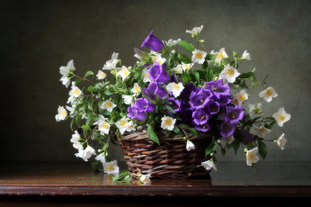 Картинка цветы букеты +композиции жасмин колокольчики