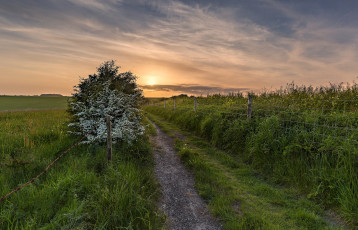 Картинка природа дороги простор