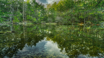 Картинка природа реки озера простор