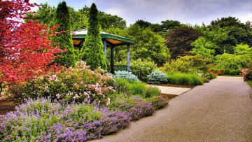 Картинка природа парк беседка аллея