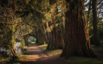 Картинка природа дороги простор