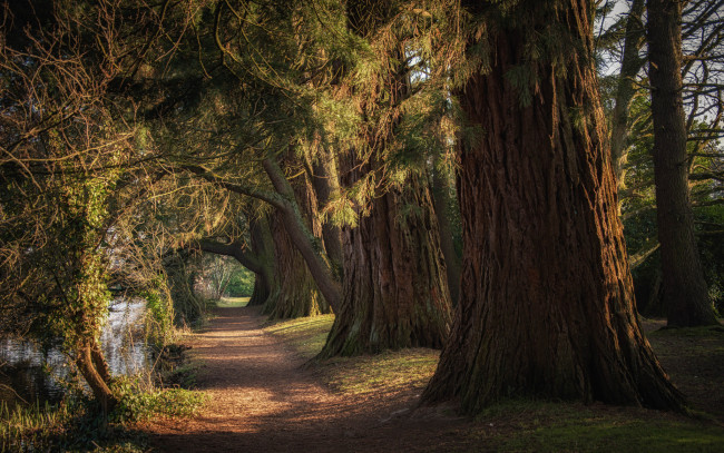 Обои картинки фото природа, дороги, простор