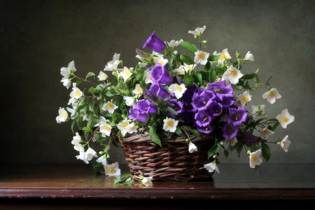 Обои картинки фото цветы, букеты,  композиции, жасмин, колокольчики