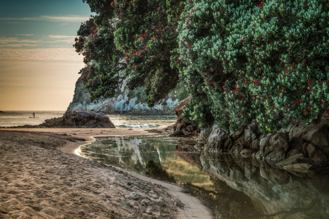 Обои картинки фото природа, побережье, простор