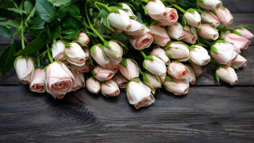 Картинка цветы розы бутоны