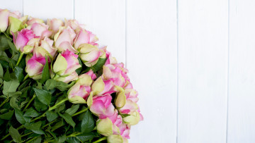 Картинка цветы розы бутоны