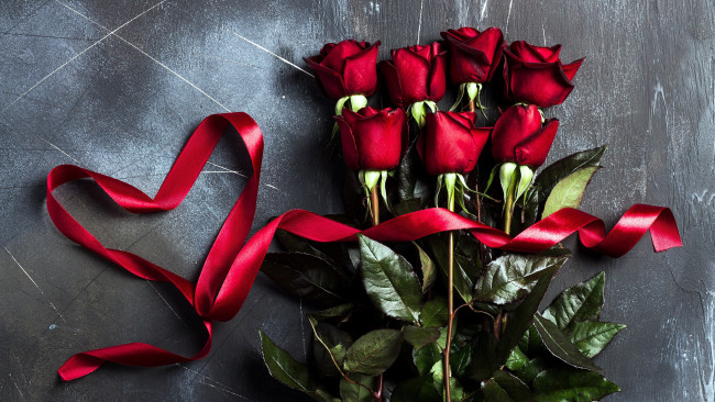 Обои картинки фото цветы, розы, бутоны