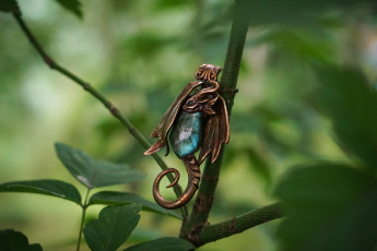 Картинка разное украшения +аксессуары +веера дракончик камень растения