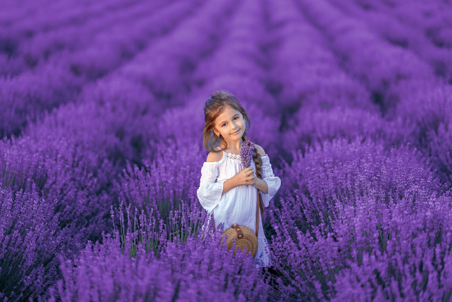 Обои картинки фото разное, дети, девочка, сумочка, поле, лаванда