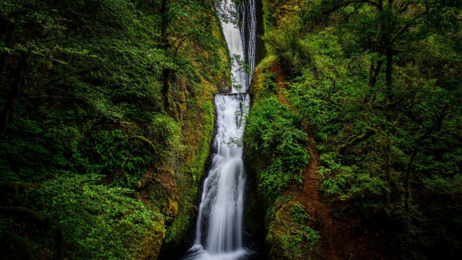 Обои картинки фото bridal veil falls, oregon, природа, водопады, bridal, veil, falls