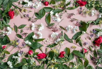 Картинка цветы разные+вместе розы жасмин аквилегия