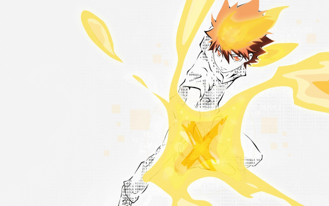 Обои картинки фото аниме, katekyo hitman reborn, парень, персонаж