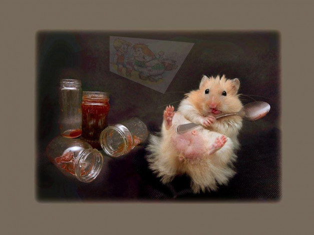 Обои картинки фото ланч, юмор, приколы