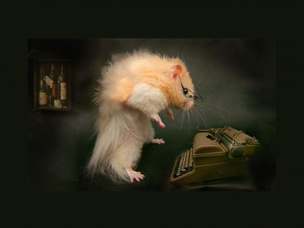 Обои картинки фото ожидание, музы, юмор, приколы