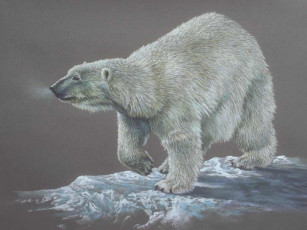 Картинка рисованные животные