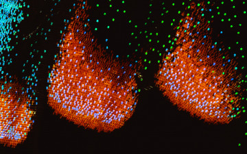Картинка разное текстуры
