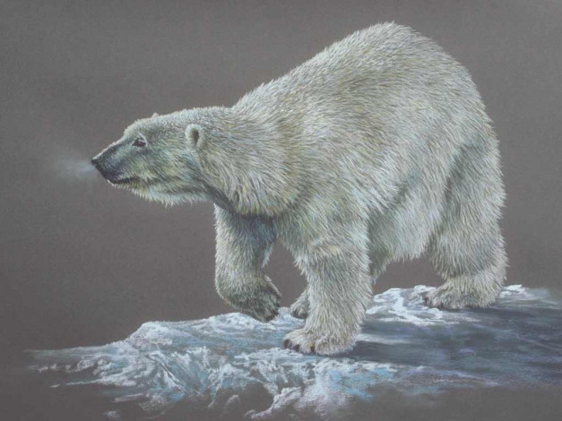 Обои картинки фото рисованные, животные