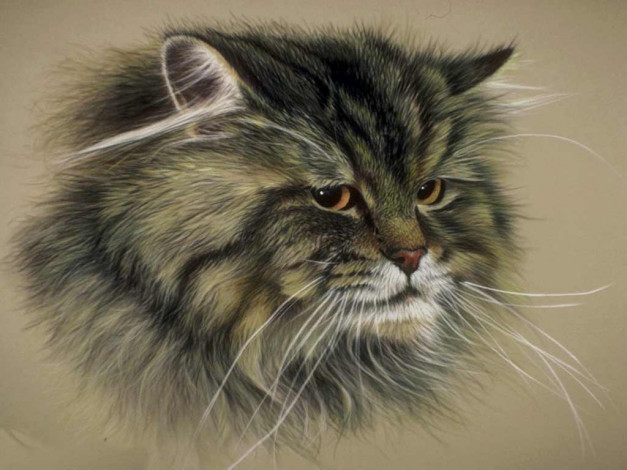 Обои картинки фото рисованные, животные