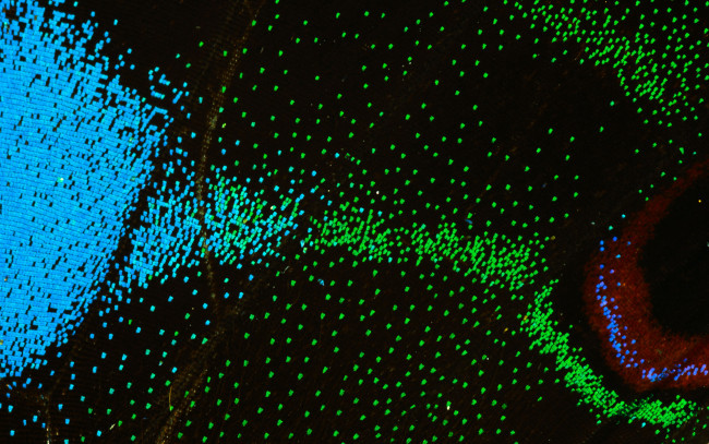 Обои картинки фото разное, текстуры